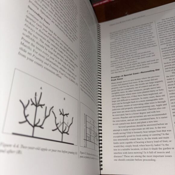 Small-Scale Fruit Production: A Comprehensive Guide Penn State Grow Apples Pears - Picture 8 of 9